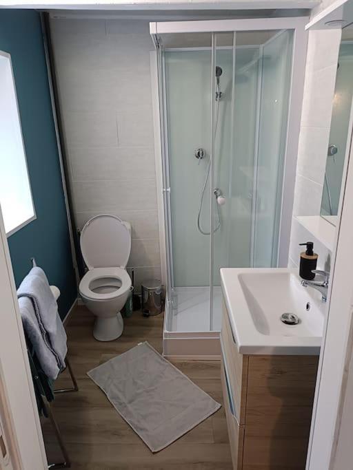 T2 Entre Quimper Et Concarneau, Proche Gare. Apartment Rosporden Ngoại thất bức ảnh